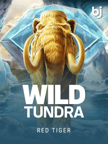 Wild Tundrapng game cover